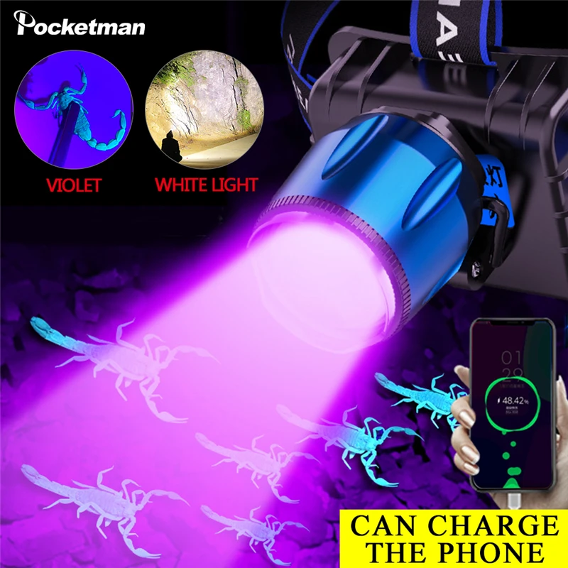 2 in 1 UV-Otsalamppu LED-Ajovalojen Taskulamppu USB-Laturi Camping Uv-Blacklight-Ilmaisin Kalastus Retkeily Retkeily-Valo - 1